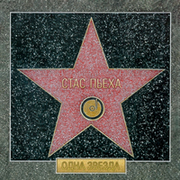 Стас Пьеха Одна Звезда