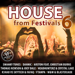 Swanky Tunes House From Festivals 6