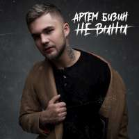 Артем Бизин Не вини (Single)
