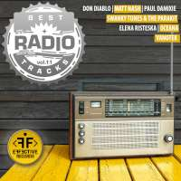 Swanky Tunes Best Radio Tracks vol.12