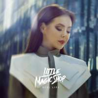 Little Magic Shop Real Life