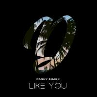 Danny Shark Like You!