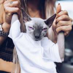 Мари Краймбрери Голая в белой майке (Single)