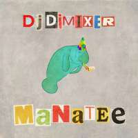 DJ DimixeR Manatee