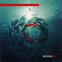 Чичерина Сны